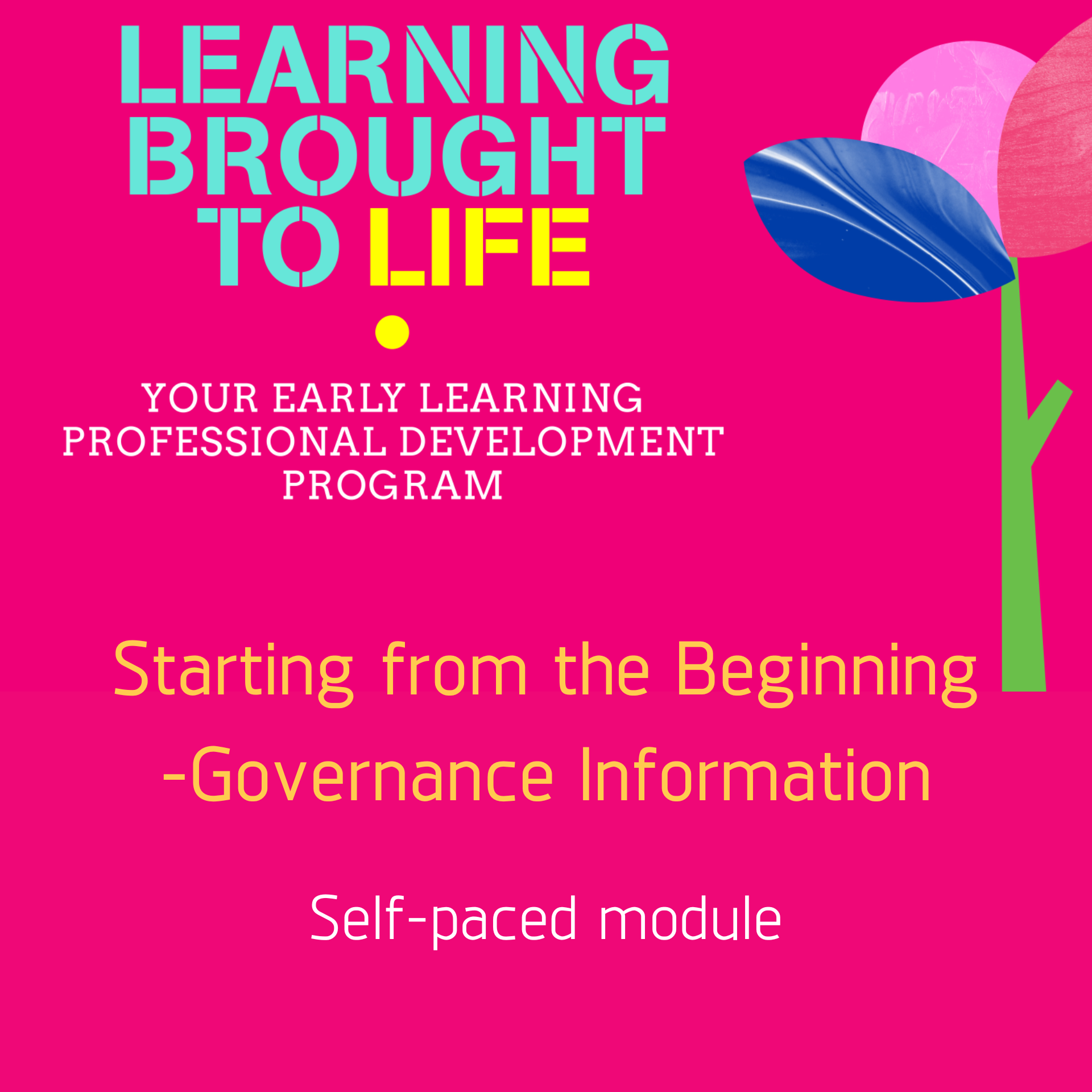 Starting from the Beginning- Governance Information