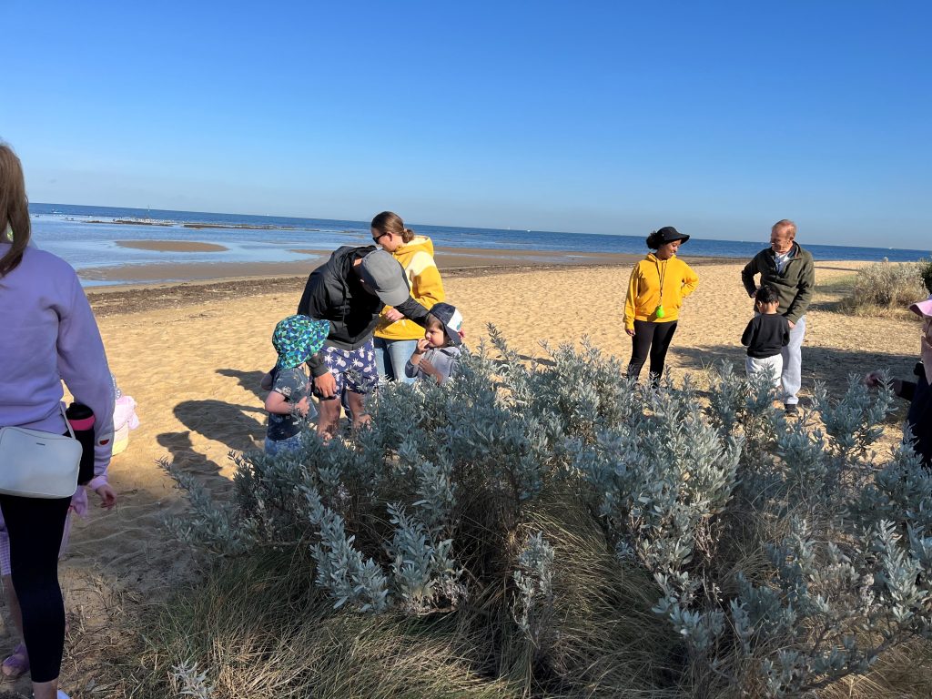 Families and their children down the beach tasting and exploring bush plants